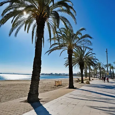 Marina 3*